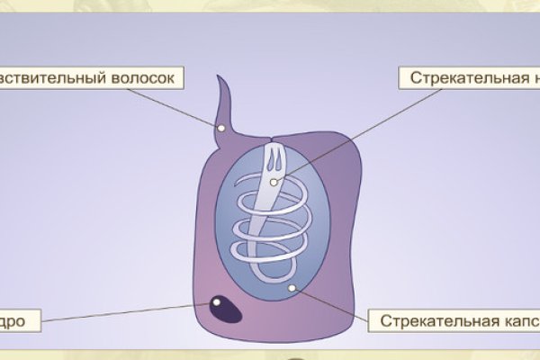Браузер для кракен