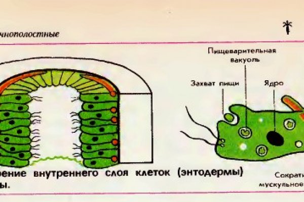 Как пополнить кошелек на кракене