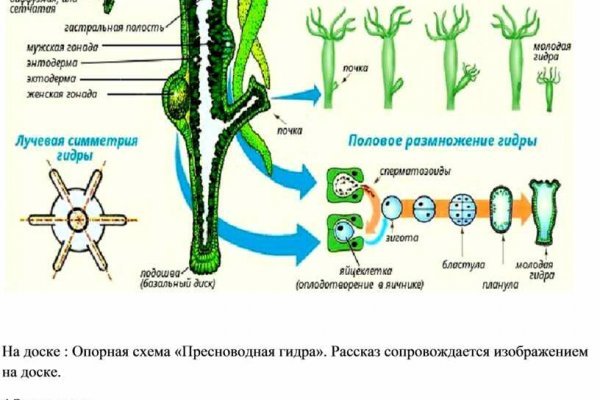 Какой кракен сейчас работает